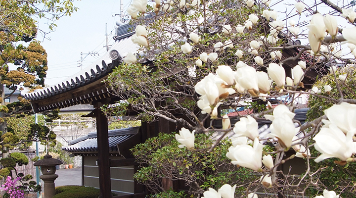 創建1000年の歴史、四季折々の美しい庭園が広がるお寺